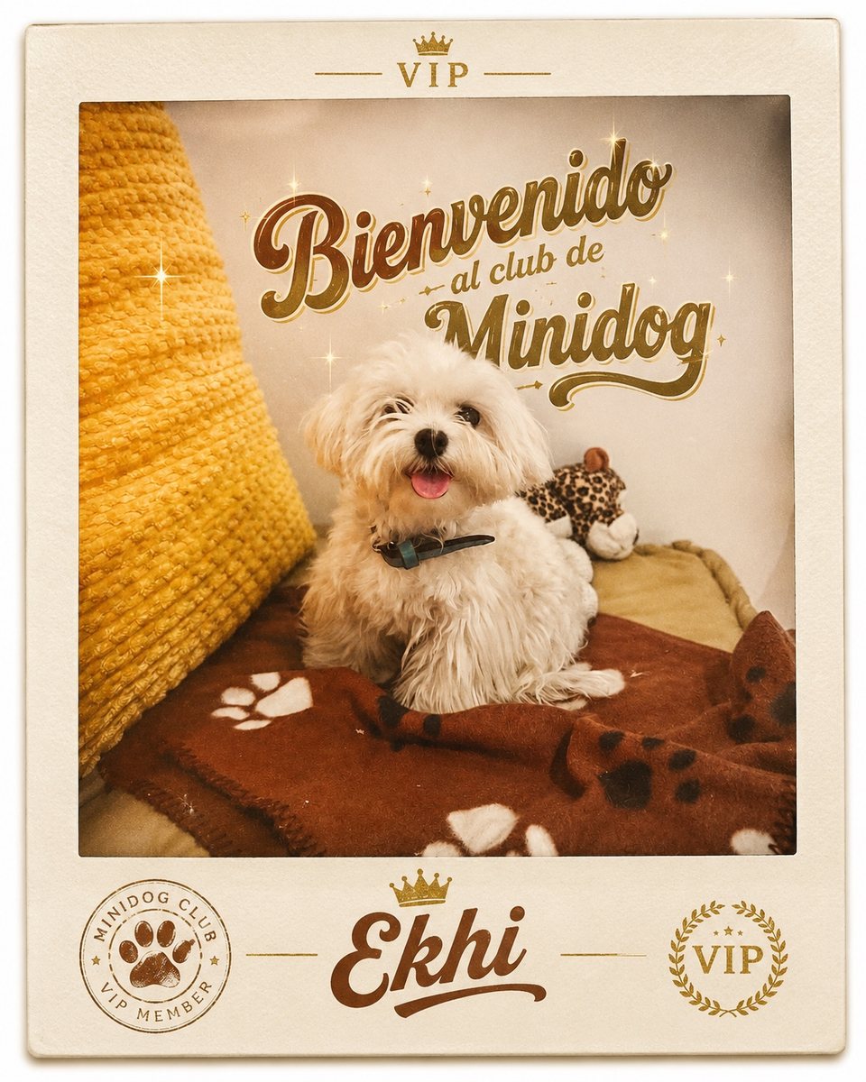 Postal de recuerdo de estancia MiniDog