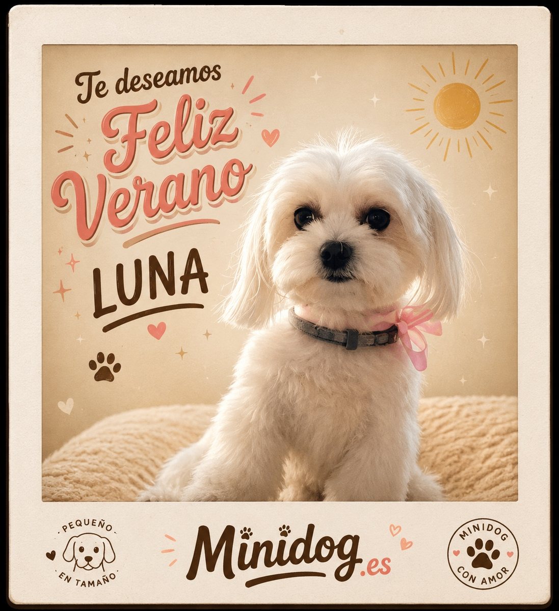Postal de Luna en MiniDog